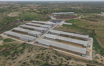 Poultry Farms